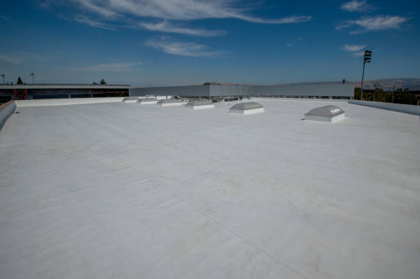 Best Rubber Roofing (EPDM, TPO)  in Grand Blanc, MI