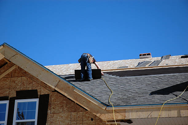 Best Roof Moss and Algae Removal  in Grand Blanc, MI