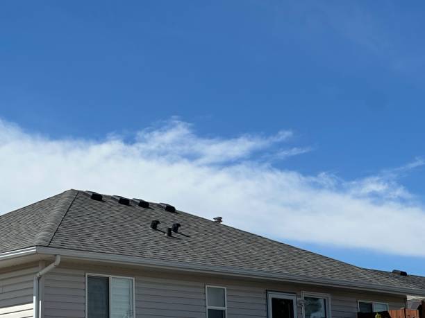 Best Asphalt Shingle Roofing  in Grand Blanc, MI